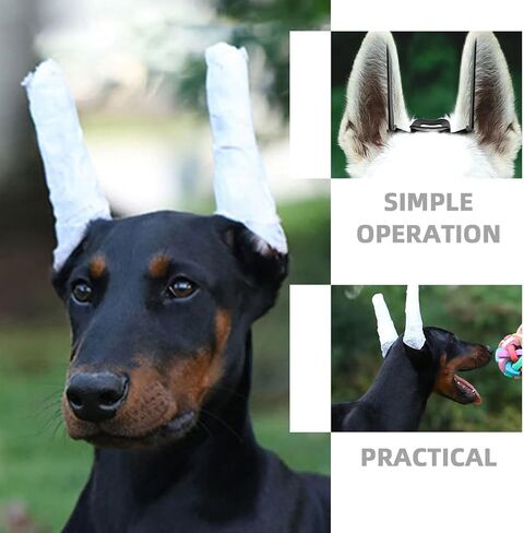 مجموعة نشر الأذن من INOOMP Doberman-طقم نشر الأذن لـ Doberman-Dog Ear Posting Kit حنفية أذن الكلب لكلب Doberman Pinscher in Saudi Arabia