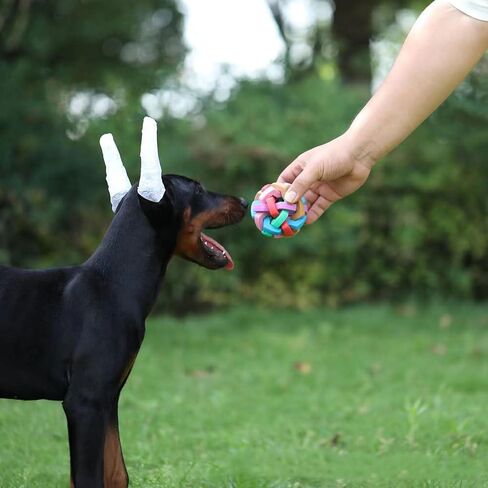 مجموعة نشر الأذن من INOOMP Doberman-طقم نشر الأذن لـ Doberman-Dog Ear Posting Kit حنفية أذن الكلب لكلب Doberman Pinscher in Saudi Arabia