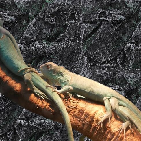 1 Pc Climbing pet box background board 3D terrarium background Cork Tile Background Aquarium Decorative Board aquarium decor background reptile decor background vivarium gecko rock in Saudi Arabia