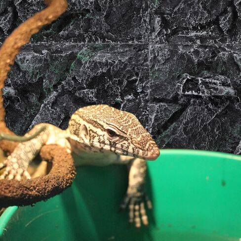1 Pc Climbing pet box background board 3D terrarium background Cork Tile Background Aquarium Decorative Board aquarium decor background reptile decor background vivarium gecko rock in Saudi Arabia