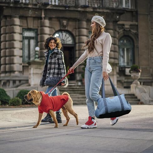 Small Dog Car Seat Puppy Car Seat with Storage Pockets Dog Booster Car Seat with Thick Cushion Pet Car Seat Dog Bed Car seat with Leash (Grey) in Saudi Arabia