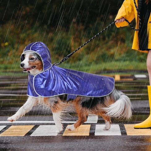 Waterproof Dog Raincoat - Reflective Dog Rain Jacket, Lightweight Dog Poncho with Transparent Brim Hood & Harness Hole, Pet Rainwear Dog Slicker for Dog Walking (Medium, Blue) in Saudi Arabia