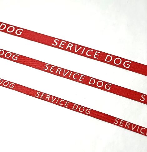 Service Dog Leash (Medium) in Saudi Arabia