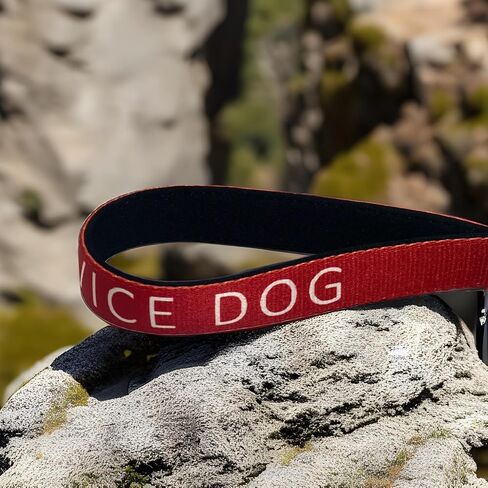 Service Dog Leash (Medium) in Saudi Arabia