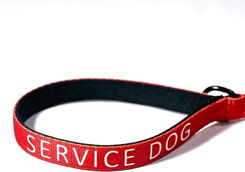 Service Dog Leash (Medium) in Saudi Arabia