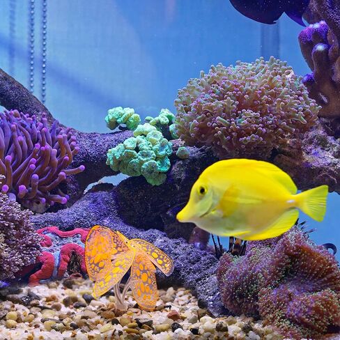 Soft Silicone Glowing Simulation Coral, Fluorescence Aquatic Artificial Water Plants for Aquarium (Yellow) in Saudi Arabia