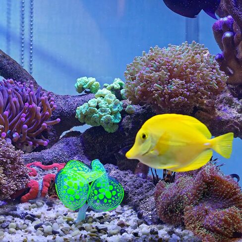 Soft Silicone Glowing Simulation Coral, Fluorescence Aquatic Artificial Water Plants for Aquarium (Yellow) in Saudi Arabia