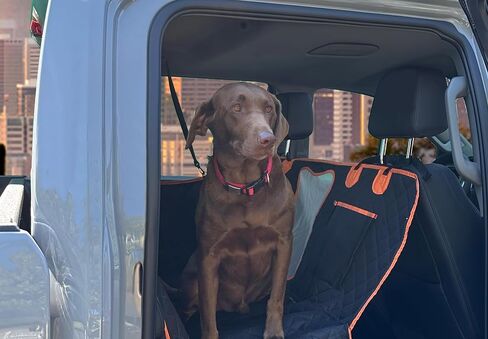Dog Car Seat Cover for Back Seat for XL Cars, SUVs & Trucks - Durable Car Cover Protector for Dogs, Waterproof Scratchproof, Nonslip Backseat Dog Hammock (Bone) in Saudi Arabia
