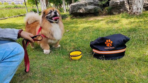 Pet Travel Bag, 20L Dog Food Container for Camping, RV Camping Gear, Dog Bags for Traveling, Camping Dog Essentials, 84 Cups Travel Dog Food Storage Container in Saudi Arabia