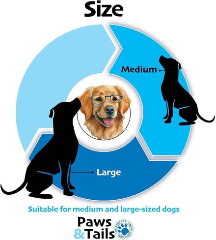 PAWS&TAILS All Natural Premium Bully Sticks for Dogs – Premium Odor-Free Beef Chews, High-Protein, Fully Digestible Dental Treats, Packaged in USA, Suitable for All Breeds. (6 Inch, 10 Sticks) in Saudi Arabia