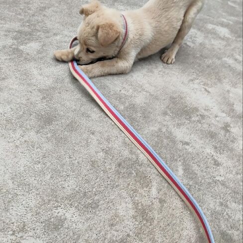 10FT / 15FT / 20FT Anti-Choke Slip Lead Dog Leash, 1" Wide Soft Thick Long Training Leash for Strong Small Medium Large Dogs (red-20ft) in Kuwait