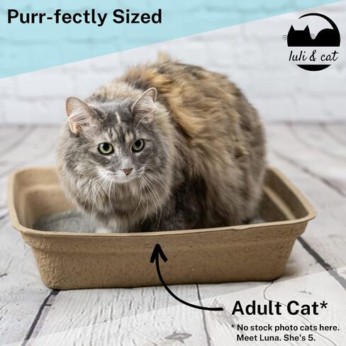 8-Pack Disposable Litter Boxes for Cats | Size Large | Durable and Water Resistant in Saudi Arabia