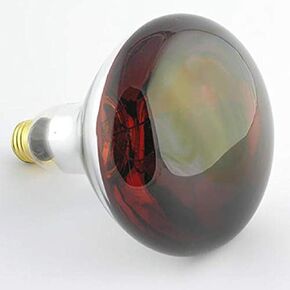 Stromberg's Red Heat Lamp Bulb