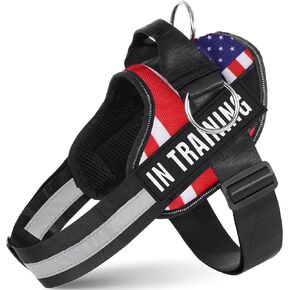 Essential Dog Harness with 3 Leash Clips - No-Pull, Adjustable, Comfortable Pet Vest Harness for Small to Large Dogs - Easy On, No Choke, Reflective, Padded Harness for Walking and Training