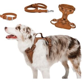 Escape Proof Dog Harness and Leash Set | BearBone Anti Pull Dog Harness with Handle and Dog Collar and Leash Set | Medium Dog Harness, Leash and Collar (Lilac, Medium)