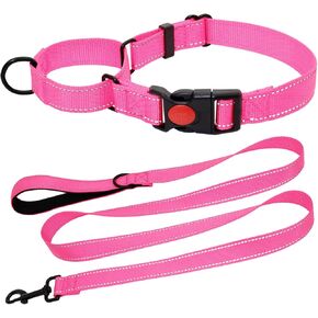 Martingale Collar for Dogs, Reflective Martingale Dog Collar and Leash Set, Adjustable Nylon Martingale Collar with Quick Release Buckle for Small Medium Large Dogs, Pink, M