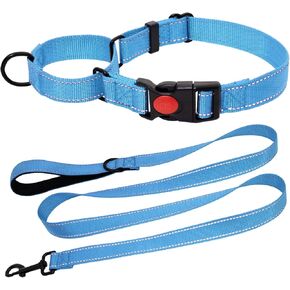 Martingale Collar for Dogs, Reflective Martingale Dog Collar and Leash Set, Adjustable Nylon Martingale Collar with Quick Release Buckle for Small Medium Large Dogs, Pink, M