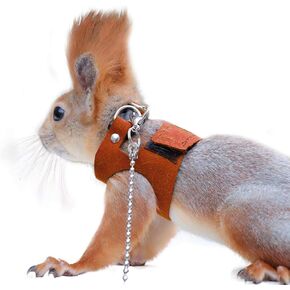 Squirrel Traction Rope with 1.8m Lead Leah, Adjustable Small Animal Walking Harness, Anti-Biting Chain Rope Vest Strap for Hamster Gerbil Rat Mouse Ferret Chinchilla and Small Animals
