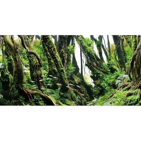 AWERT 24x12 inches Tree Branches Aquarium Background Green Algae Aquarium Background River Bed & Lake Fish Tank Background Vinyl Background