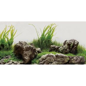 AWERT 48x20 inches Seaweed Aquarium Background Aquatic Plant River Bed & Lake Fish Tank Background Stone Aquarium Background Vinyl Background