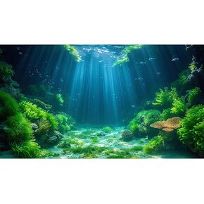 Aquarium Background Undersea Soft Algae Coral Reef Terrarium Background Sunlight Rays on Seabed Sandy Backdrop Underwater Plants Moss Fish Tank Background Decor Vinyl 24x16in