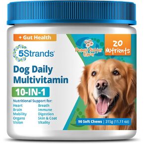 5Strands Dog Multivitamin Chews, 10-in-1, Vitamins & Postbiotics, All Ages & Breeds - Digestion, Brain, Organs, Heart, Mobility, Vision, Skin & Coat, Immune Health - Dog Supplement (Chicken, 90ct)