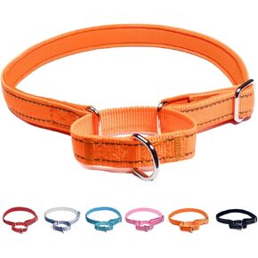 Martingale Dog Collars, Reflective Safety Puppy Collar, Adjustable Soft Nylon Training Dog Collar,Metal Accessories Heavy Duty No Pull Pet Collars for Small Medium Large Dogs (S, Orange)