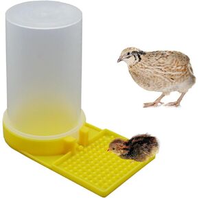 Baby Bird Button Quail Yellow Water Feeder