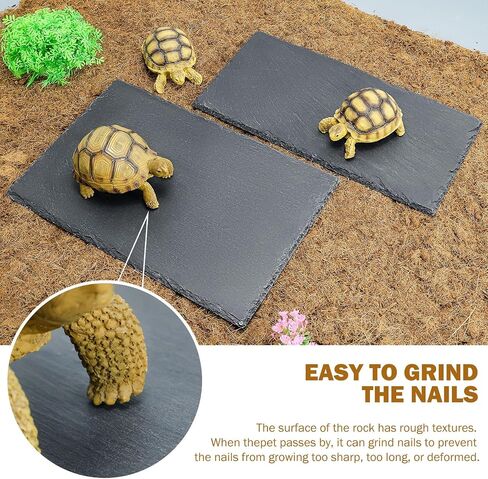 Reptile Basking Platform Tortoise Bearded Dragon Lizard Original Rock Slab,Easy to Grind The Nails,with Non-Slip mats,Natural Food Bowl,Moisturizing Effect (Small) in Saudi Arabia