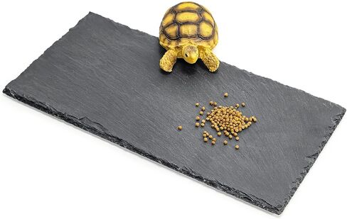 Reptile Basking Platform Tortoise Bearded Dragon Lizard Original Rock Slab,Easy to Grind The Nails,with Non-Slip mats,Natural Food Bowl,Moisturizing Effect (Small) in Saudi Arabia