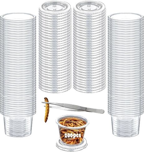 Small Reptile Food Plastic Replacement Cup Worm Water Dish Feeder Lizard Gecko Ceramic Pet Bowls with Tongs for Tortoise Lizard Bearded Dragon Frog Leopard Gecko Snake Chameleon(1 oz, 100PCS) in Saudi Arabia