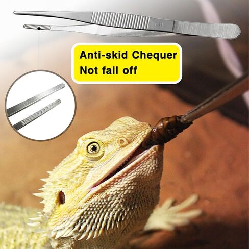 Small Reptile Food Plastic Replacement Cup Worm Water Dish Feeder Lizard Gecko Ceramic Pet Bowls with Tongs for Tortoise Lizard Bearded Dragon Frog Leopard Gecko Snake Chameleon(1 oz, 100PCS) in Saudi Arabia