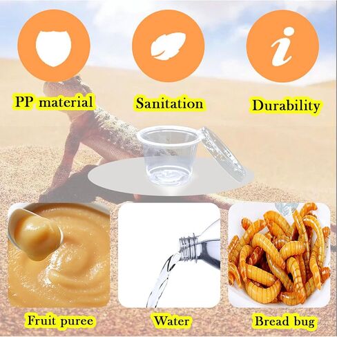 Small Reptile Food Plastic Replacement Cup Worm Water Dish Feeder Lizard Gecko Ceramic Pet Bowls with Tongs for Tortoise Lizard Bearded Dragon Frog Leopard Gecko Snake Chameleon(1 oz, 100PCS) in Saudi Arabia