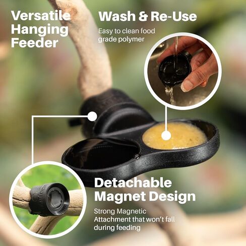 Pangea Microdish Branch & Surface Mount Kit for Gecko Feeding (XS Dual Surface Mount) in Saudi Arabia