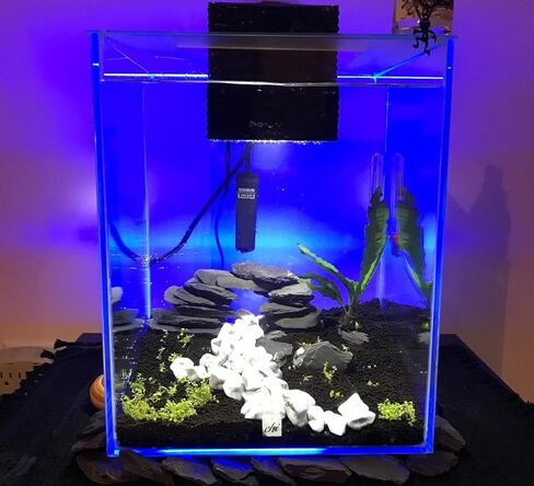 صخور أردواز طبيعية لحوض السمك، 5.1 رطل 1-6 بوصات، صخور أردواز للزواحف، حجر أردواز لأحواض السمك، نموذج المناظر الطبيعية، الزواحف، التنانين الملتحية، أبو بريص in Kuwait