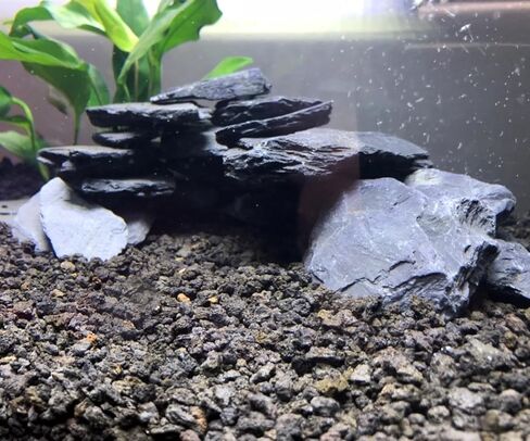 صخور أردواز طبيعية لحوض السمك، 5.1 رطل 1-6 بوصات، صخور أردواز للزواحف، حجر أردواز لأحواض السمك، نموذج المناظر الطبيعية، الزواحف، التنانين الملتحية، أبو بريص in Kuwait