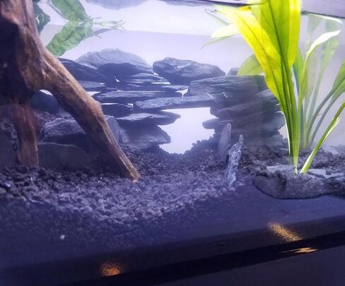 صخور أردواز طبيعية لحوض السمك، 5.1 رطل 1-6 بوصات، صخور أردواز للزواحف، حجر أردواز لأحواض السمك، نموذج المناظر الطبيعية، الزواحف، التنانين الملتحية، أبو بريص in Kuwait