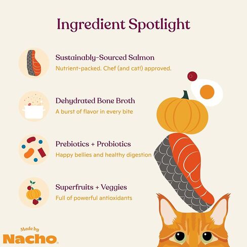 Made by Nacho Bone Broth Infused Dry Cat Kibble - Digestive Support, Cage-Free Turkey and Pumpkin - Premium Grain-Friendly Cat Food 4lb Bag, Limited Ingredients in Saudi Arabia