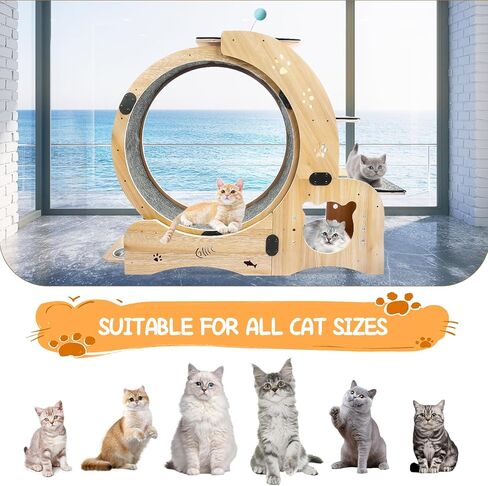Cat Running Wheel Nature Wood Kitty Large Wooden Running Wheel Pet Toy Cats Loss Weight Device Cat Rotating Wheel 4 in 1 Ultra Quiet Large Cat Wheel Exercise Treadmill in Saudi Arabia