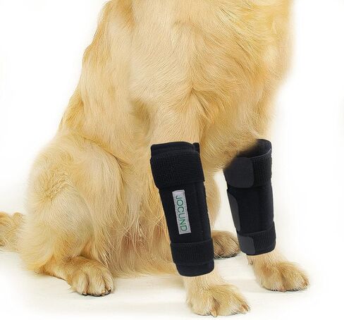 Dog Front Leg Brace, Pair of Dog Leg Brace with Metal Strips, Canine Front Leg Hock Wrap Sleeve for Carpal Support, Protects Wounds Brace Heals and Prevents Injuries and Sprains (L/XL) in Saudi Arabia