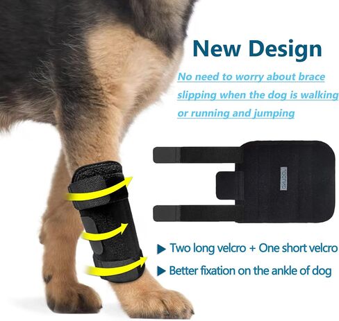 Dog Front Leg Brace, Pair of Dog Leg Brace with Metal Strips, Canine Front Leg Hock Wrap Sleeve for Carpal Support, Protects Wounds Brace Heals and Prevents Injuries and Sprains (L/XL) in Saudi Arabia