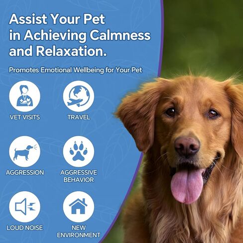 Hemp Oil for Dogs and Cats - Omega-3, 6, 9 Rich Organic Extract - Eases Pet Anxiety, Pain, Skin & Coat Health - Stress Relief, Hip & Joint Support - Calming Treats (2 Pack) in Saudi Arabia