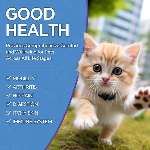 Hemp Oil for Dogs and Cats - Omega-3, 6, 9 Rich Organic Extract - Eases Pet Anxiety, Pain, Skin & Coat Health - Stress Relief, Hip & Joint Support - Calming Treats (2 Pack) in Saudi Arabia