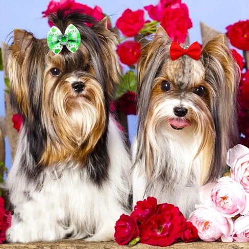 80pcs Dog Hair Bows, Cute Pet Puppy Dog Bows with Rubber Bands, Bulk Yorkie Dog Hair Grooming Accessories Bows, Dog Bows for Small Dogs, Dog Bownot Topknot for Dog Cats Bunny in Saudi Arabia