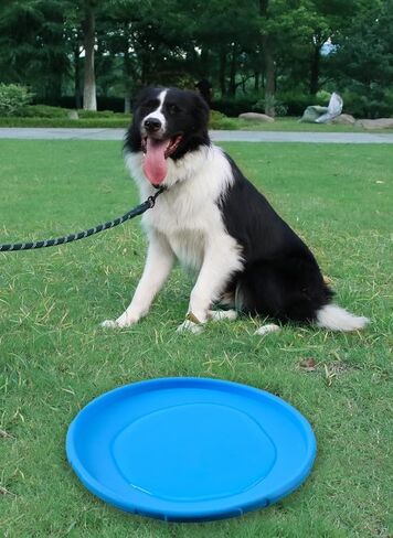 Dog Flying Disc Dog Toy，Durable Dog Toys, Nature Rubber Floating Flying Saucer for Water Pool Beach (Yellow) in Saudi Arabia