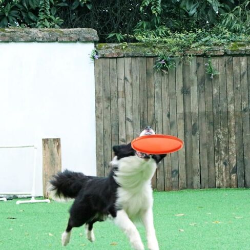 Dog Flying Disc Dog Toy，Durable Dog Toys, Nature Rubber Floating Flying Saucer for Water Pool Beach (Yellow) in Saudi Arabia