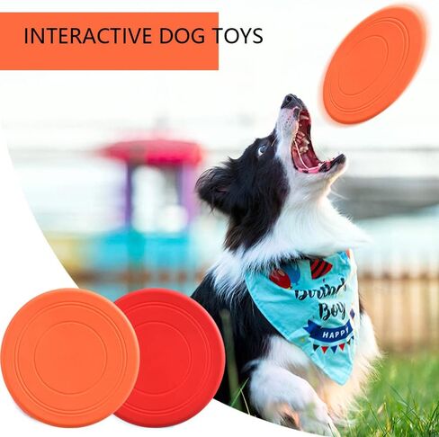 قرص طائر للكلاب مقاس 7 بوصة، لعبة طيارة للجرو تتفاعل بشكل أسرع مع ألعاب تفاعلية للتدريب للكلاب الصغيرة المتوسطة، صحن عائم خفيف الوزن ومتين ومقاوم للماء (أزرق وأخضر) in Kuwait