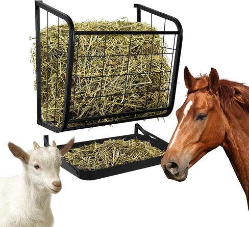 jxgzyy Hay Feeder جدار جبل 2 في 1 القش والحبوب المغذية متعددة الجوانب الماعز القش الرف الثقيلة المعادن تغذية الماشية لوازم تغذية الحصان لتخزين القش وتوزيعها in Kuwait