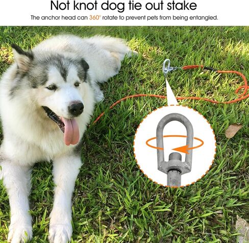 Dog Tie Out Stake - Galvanized Dog Stake with Universal Rope Ring for Large Dogs up to 200 lbs, Dog Anchor, and Dog Gadget | Use Any Dog Tie Out Cable or Dog Yard Leash in Kuwait