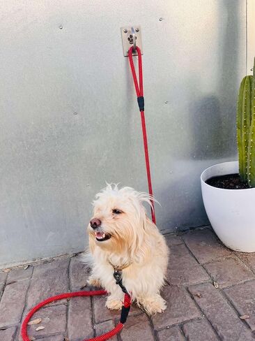 Ultimate Wood Installation KIT - Heavy Duty Dog Leash Holder - Stainless Steel - Safety Leash Connector - Wall Door Table - Hook Mount for Dogs - Screws and Washers Included in Saudi Arabia